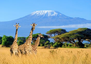 5-day safari through the national parks from Nairobi to Mombasa